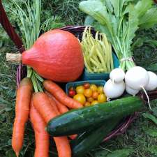 Tendergreens Farm | 3553 Milman Rd, Courtenay, BC V9J 1N8, Canada