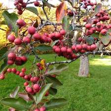 Youth Gardens | Rosemont-La Petite-Patrie, Montreal, QC H1X 2B2, Canada