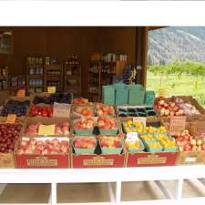 Blush Lane Organic Orchard | 3105 BC-3, Keremeos, BC V0X 1N1, Canada