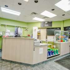 Cedargreen Coin Laundry and Dry Clean Depot | 3340 Lawrence Ave E, Scarborough, ON M1H 1A7, Canada