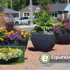 Desert Planters by Equinox Industries | 401 Chrislind St, Winnipeg, MB R2C 5G4, Canada