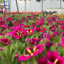 Kastle Gardens Greenhouse | 95054 Range Road 15-5, Taber, AB, Canada T0K, Taber, AB T1G 2C6, Canada