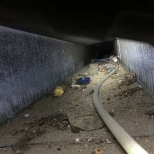 Spider Duct & Carpet Cleaning | 221 Clipper Crt, Kingston, ON K7K 0E8, Canada