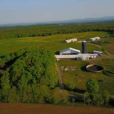 Ranch Jordan Hill | 475 Chem. Jordan Hill, Cookshire-Eaton, QC J0B 1M0, Canada