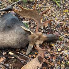 Pourvoirie La Jeannoise Enr | 918 Rang St-Jean, Dolbeau-Mistassini, QC G8L 5Y6, Canada