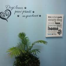 Doggie Dooze | 92 Main St S, Seaforth, ON N0K 1W0, Canada