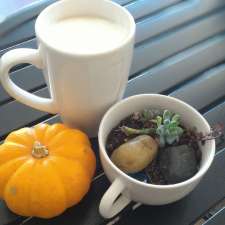The Bistro At Silvercreek | 112 Main St S, Georgetown, ON L7G 3G3, Canada