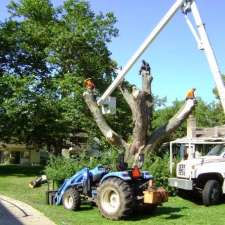 Regional Tree Svc | 112 Sawmill Rd, St. Catharines, ON L2S 3K2, Canada