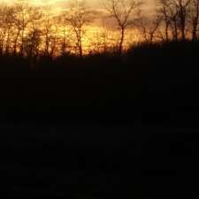 Pulse Electric Ltd | 69 Memory Ln, Austin, MB R0H 0C0, Canada
