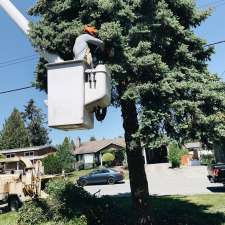 Diamond Tree Service | 5390 Beharrell Rd, Abbotsford, BC V3G 1P8, Canada