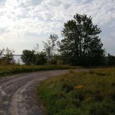 Innis Point Bird Observatory | Letson Rd, Ottawa, ON K0A 1T0, Canada