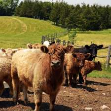 Plainfield Heritage Farm | 105 Shannon Rd, Plainfield, ON K0K 2V0, Canada