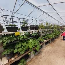 Falk Nurseries | 23062 PR 311, New Bothwell, MB R0A 1C0, Canada