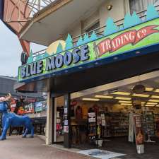 Blue Moose Trading and Blue Moose Toys | 4945 Clifton Hill, Niagara Falls, ON L2G 3N5, Canada