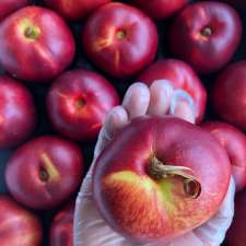 Temple Nutrition | 5193 7 Line, Guelph/Eramosa, ON N0B 2K0, Canada