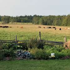 Wild Meadows Farm | 085315, Grey County Rd 14, Conn, ON N0G 1N0, Canada
