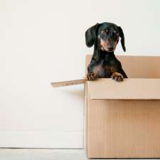 Mover Boy | 5804 Sherbrooke St, Vancouver, BC V5W 3M9, Canada