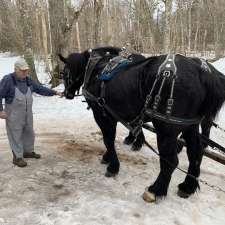 Potts Sleigh Rides | 439 Bonshaw Rd, Bonshaw, PE C0A 1C0, Canada