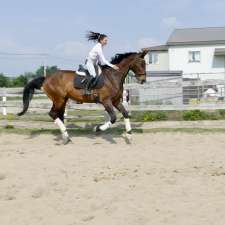 Academy Equestrian Mn | 172 Rang Lepage, Sainte-Anne-des-Plaines, QC J0N 1H0, Canada