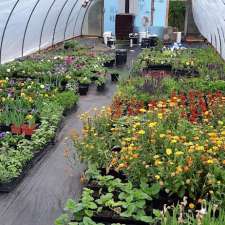 Sara's Greenhouse | 1041 Filmore Rd, Saint Andrews, MB R1A 4H1, Canada