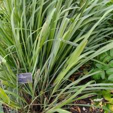 Useful Plants Garden | Montreal, QC H1X 2B4, Canada