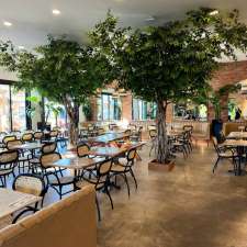 Pigeon Café | 3836 Boulevard Cote Vertu Ouest, Saint-Laurent, QC H4R 1P8, Canada