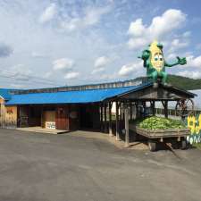 Kiosque de la Ferme Louiselle & Gaetan Brassard | 2415 Chemin des Glaïeuls, La Conception, QC J0T 1M0, Canada