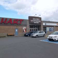 Hart | 101 Boulevard Taché O, Montmagny, QC G5V 3T8, Canada