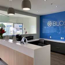 Blossom Smiles Dental | 3235 Fairview St unit 4, Burlington, ON L7N 3L1, Canada