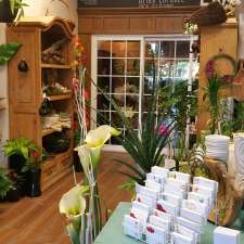 Fleuriste Les Fleurs D'Alicia | 1130 Boulevard Lebourgneuf, Québec, QC G2K 0A9, Canada