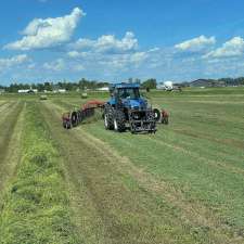 Laingspring Farm Ltd. | 35074 Road 38 N, Blumenort, MB R0A 0C1, Canada