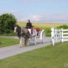 Regal Horse & Carriage | Hwy 95, Wolfe Island, ON K0H 2Y0, Canada