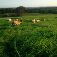 Krista's Sheep. Lamb meat...nurtured naturally, with care, from conception to completion. | 5588 NS-331, LaHave, NS B0R 1C0, Canada