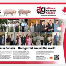 Alliance Genetics | 596124 Strathallan Rd RR#6, Woodstock, ON N4S 7W1, Canada