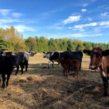 Heartwood Farm & Cidery | 5438 Second Line, Erin, ON L7J 2L9, Canada