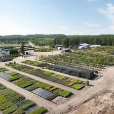 Sylvestria Pépinière Agroenvironnementale | 100 Rang Saint-Louis, Saint-Fulgence, QC G0V 1S0, Canada