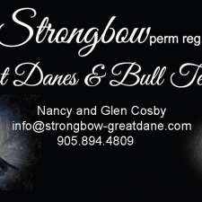 Great Danes & Bull Terriers by Strongbow Dog Breeder | 4594 ON-3, Sherkston, ON L0S 1R0, Canada