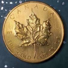 KJF Appraisals and Auctions | 46 Dorchester Dr, Wellington, ON K0K 3L0, Canada