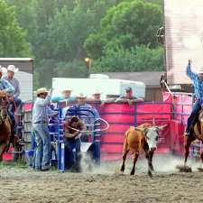 Plett Cattle + Performance Horses | Wiebe Rd, Grunthal, MB R0A 0R0, Canada
