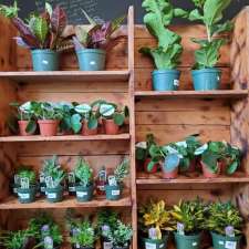 Lessard Centre Jardin | 2265 Rue Laval, Nantes, QC G6B 2V4, Canada