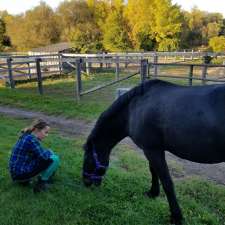 Lone Wolf Farm | 4631 Burritts Rapids Rd, Merrickville, ON K0G 1N0, Canada