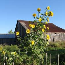 Kitchen Table Seed House | 602 Rd 95 Wolfe Island, Frontenac Islands, ON K0H 2Y0, Canada