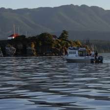 Big Coast Marine Adventures | 10100 Green Hill Rd, Denman Island, BC V0R 1T0, Canada