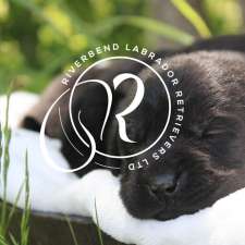 Riverbend Labrador Retrievers Ltd. | 2093 HWY 245, North Grant, NS B2G 2L1, Canada