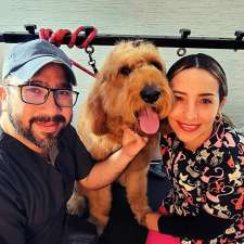 JonnaT Pet Grooming Style | 24 Wenlock Crescent, London, ON N6G 3B6, Canada
