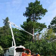 Hanna's Contracting & Tree Svc | 796 N Napan Rd, Napan, NB E1N 5E2, Canada