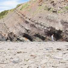 Joggins Fossil Cliffs | 100 Main St, Joggins, NS B0L 1A0, Canada