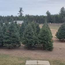 Alans Christmas Trees | 940 Route 495, Mundleville, NB E4W 2N5, Canada