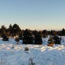 Christmas Tree U-Pick Arbres de Noël | 493 Memramcook-East Rd, Memramcook, NB E4K 1M3, Canada