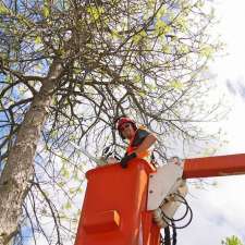 Sully's Tree Trimming | Rothesay, NB E2H 1G5, Canada